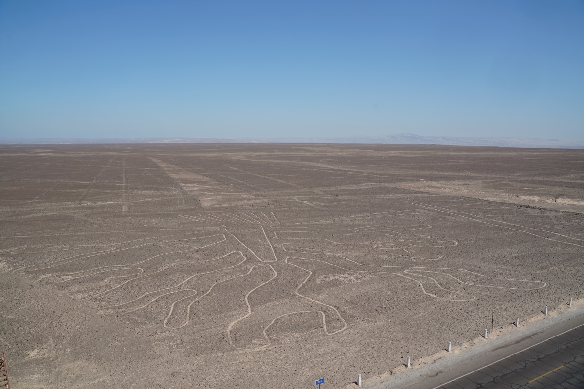 Nazca-Linien-Figur Baum (Arbol)