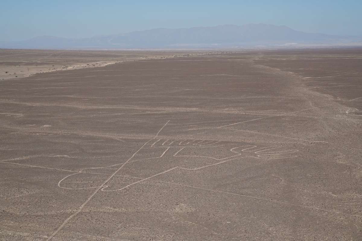 Nazca-Linien-Figur Kröte (Sapo)