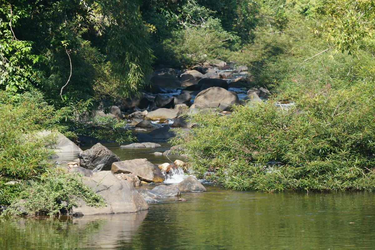 Wasserlauf des Sok-Flusses im Khao-Sok-Nationalpark