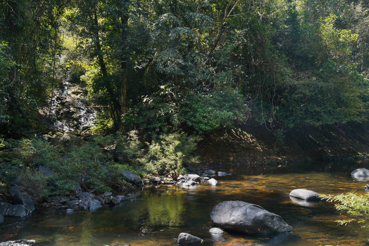 Wing-Hin-Wasserfall (links) im Khao-Sok-Nationalpark